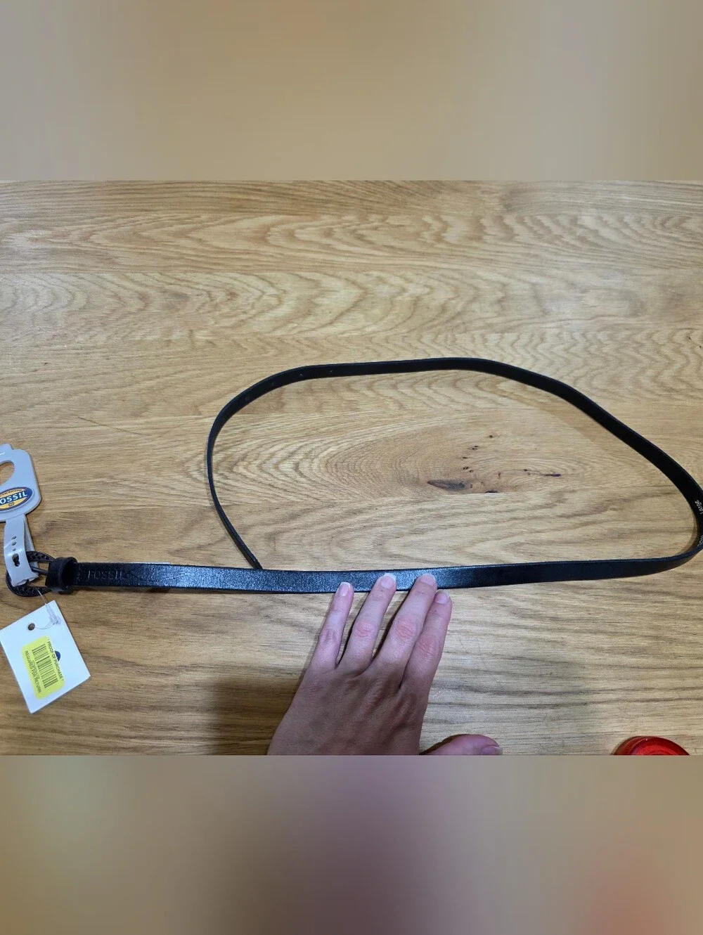 Womens Fossil Belt NWT